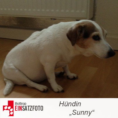 DTR Einsatz: Sunny in Essen