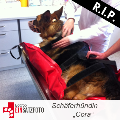 DTR Einsatz: Cora in Bottrop