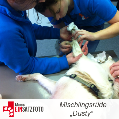 DTR Einsatz: Dusty in Moers