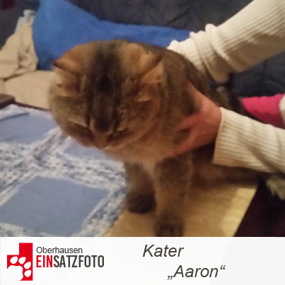 DTR Einsatz: Aaron in Oberhausen