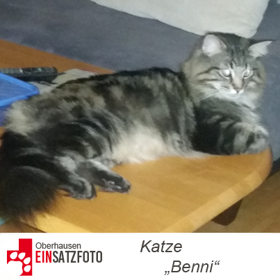 DTR Einsatzbericht: Benni in Oberhausen