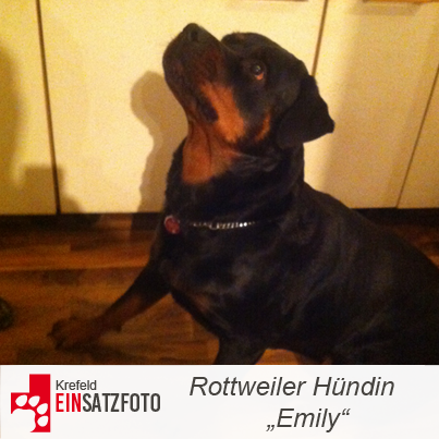 DTR Einsatz: Emily in Krefeld