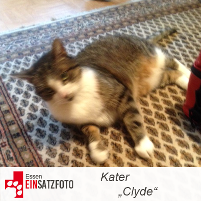 DTR Einsatz: Clyde in Essen