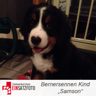 DTR Einsatz: Samson in Gelsenkirchen