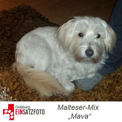 DTR Einsatz: Mava in Duisburg