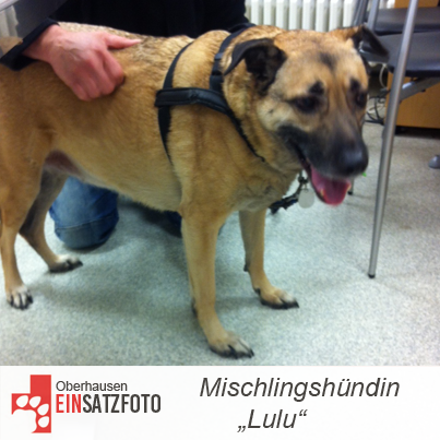 DTR Einsatz: Lulu in Oberhausen