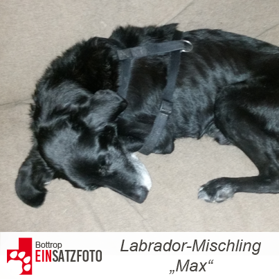 DTR Einsatz: Max in Bottrop