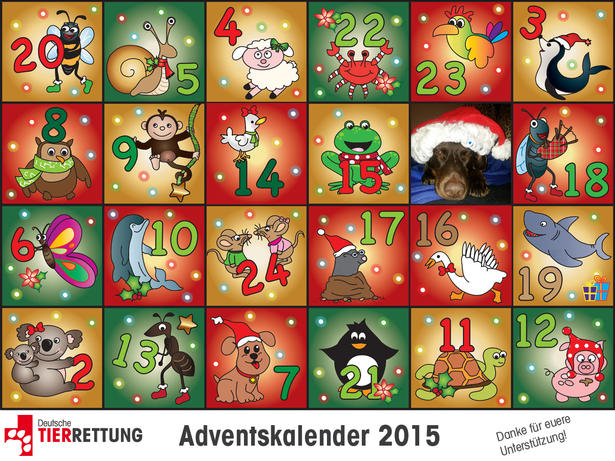 DTR Adventskalender: Tür 1