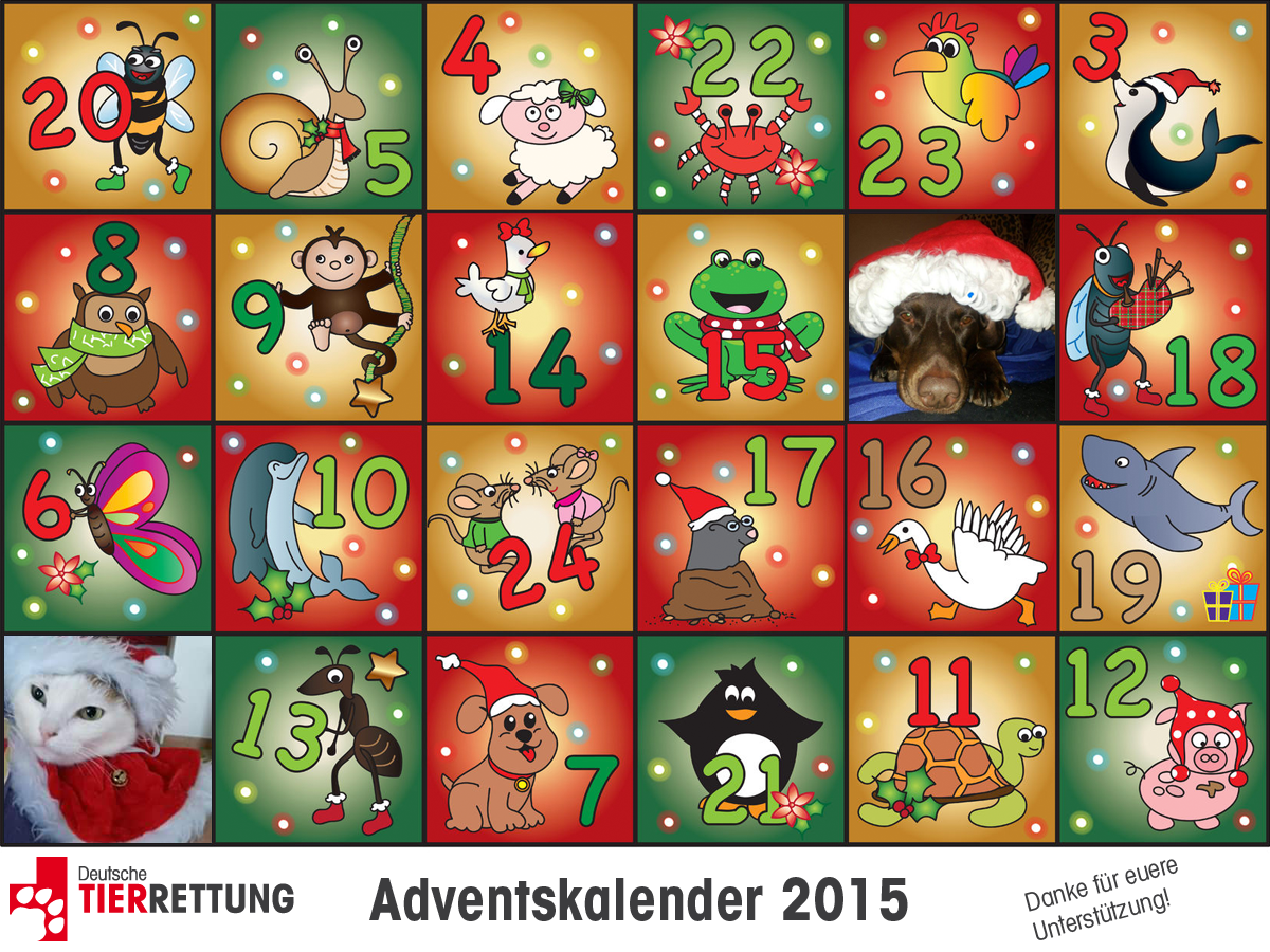 DTR Adventskalender: Tür 2