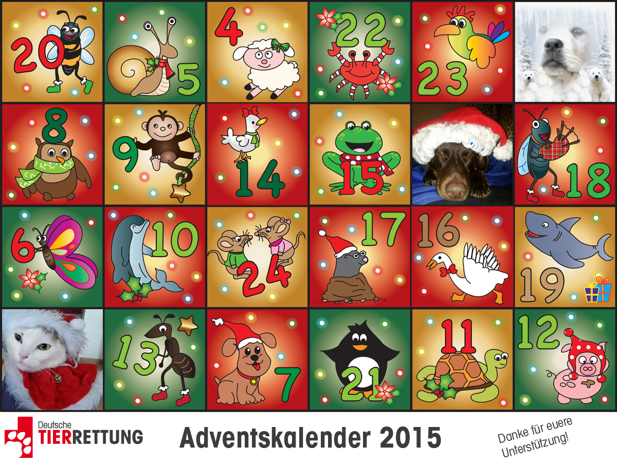 DTR Adventskalender: Tür 3