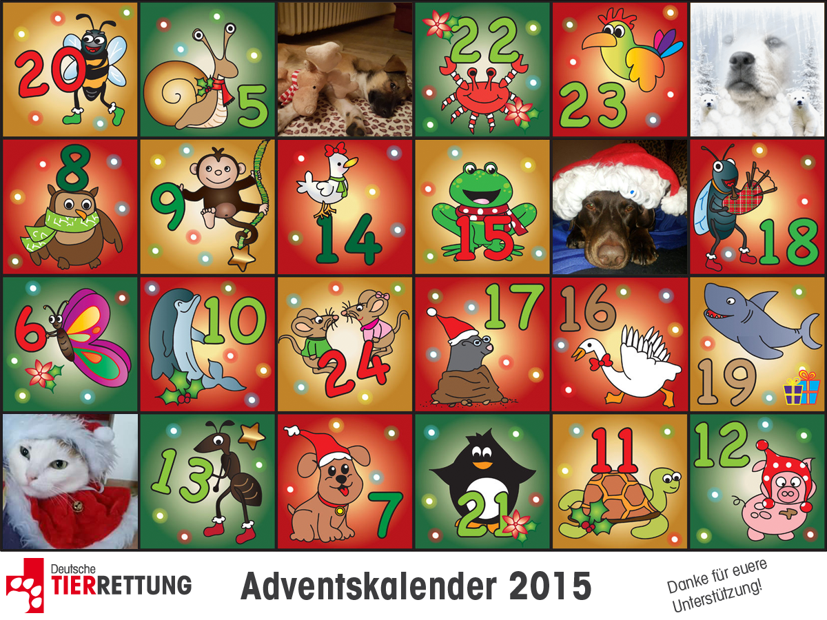 DTR Adventskalender: Tür 4