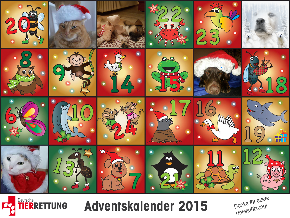 DTR Adventskalender: Tür 5