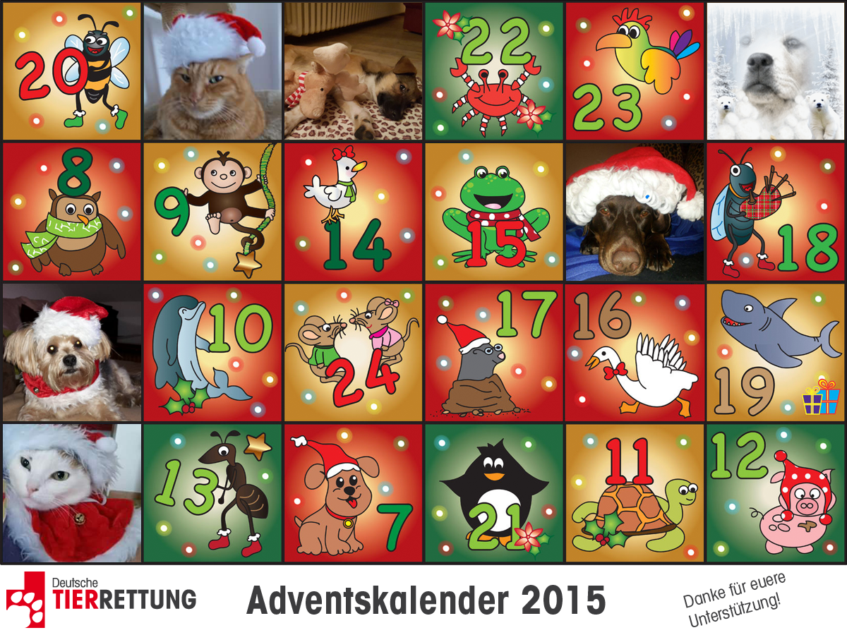 DTR Adventskalender: Tür 6