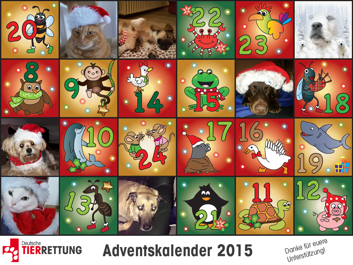 DTR Adventskalender: Tür 7