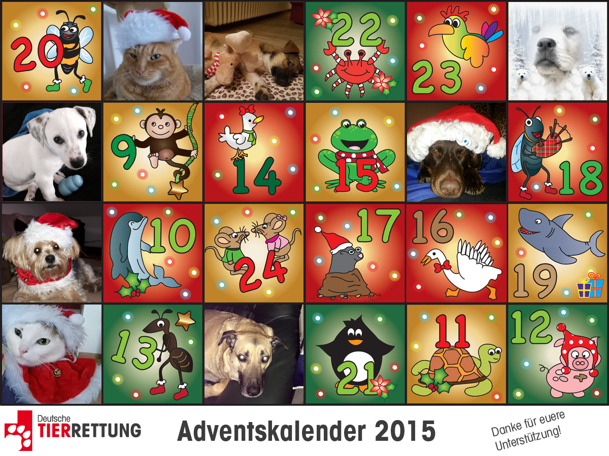 DTR Adventskalender: Tür 8