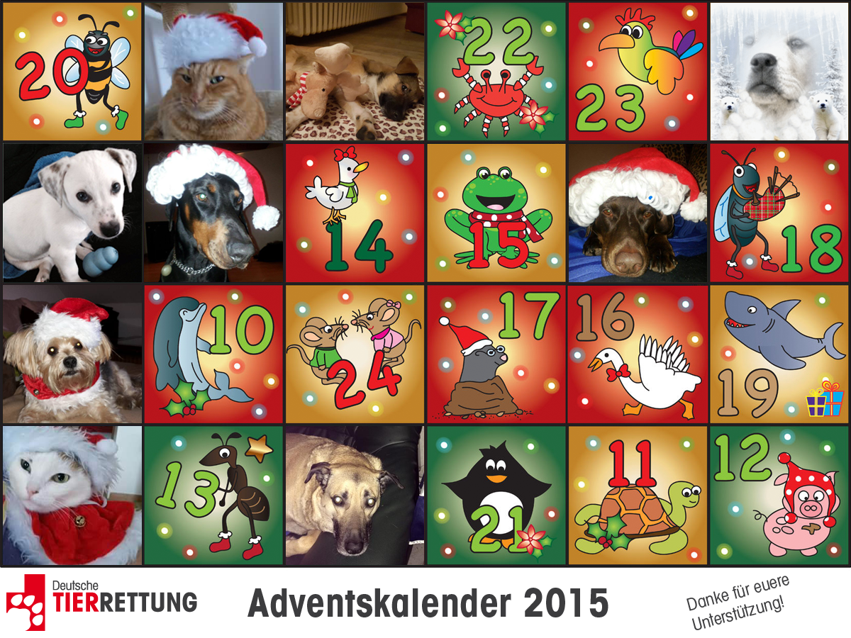 DTR Adventskalender: Tür 9