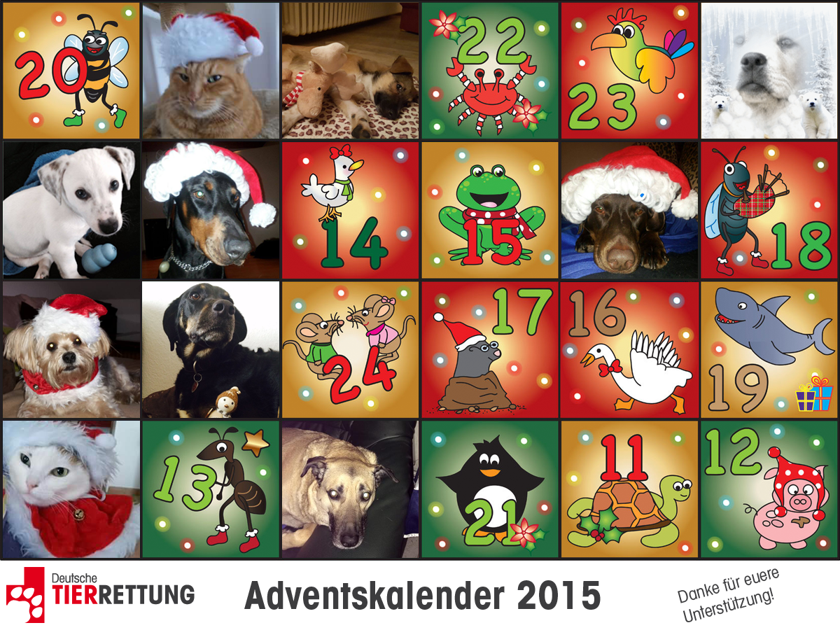 DTR Adventskalender: Tür 10