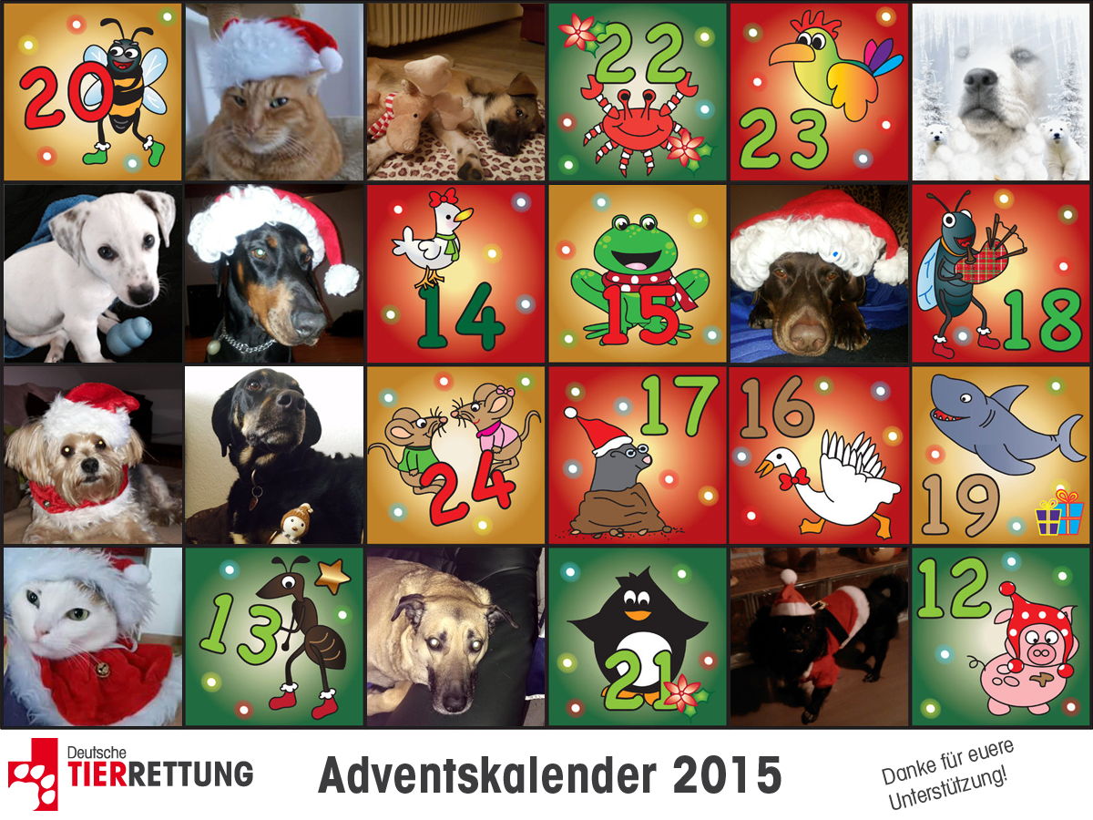 DTR Adventskalender: Tür 11
