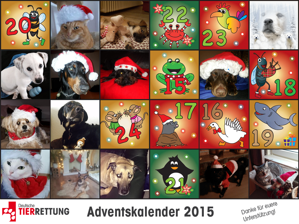 DTR Advetskalender:  Tür 14