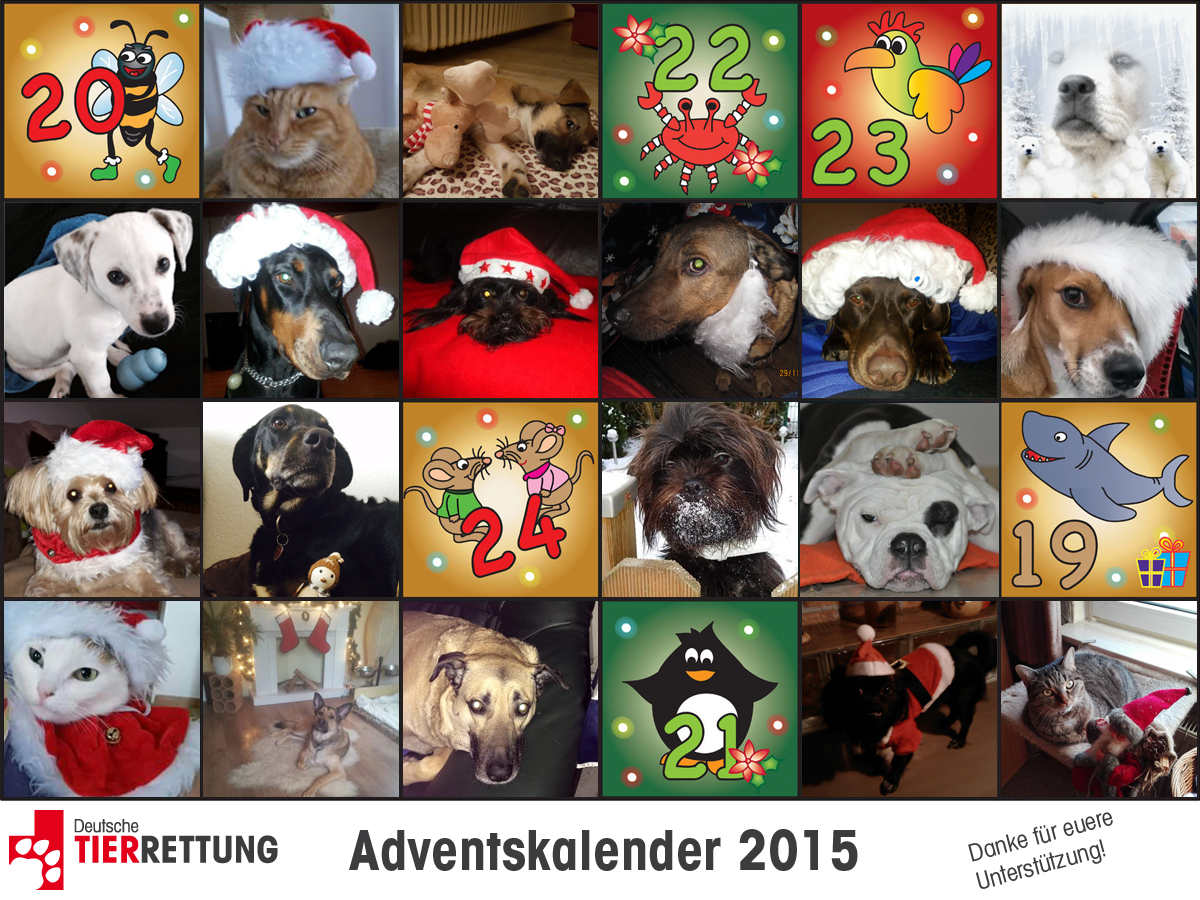 DTR Adventskalender: Tür 18