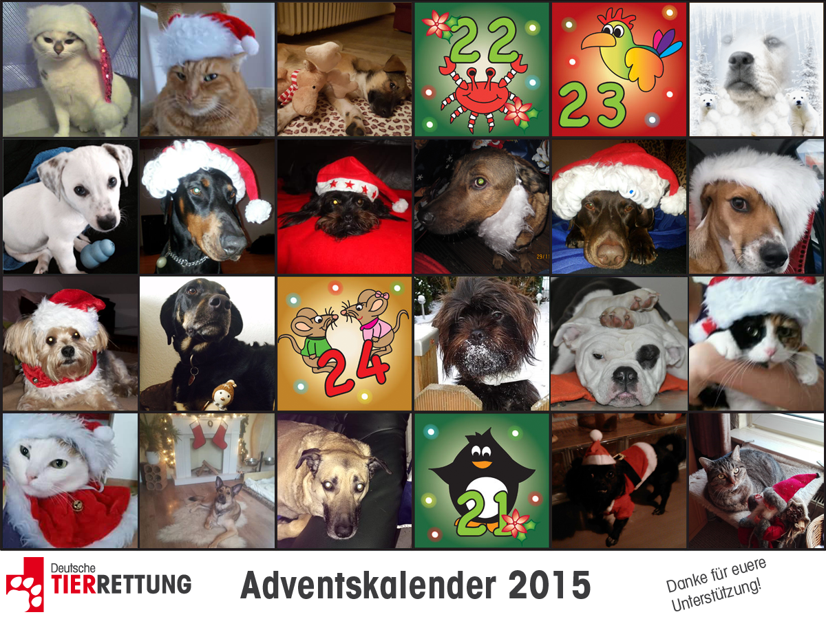 DTR Adventskalender: Tür 20