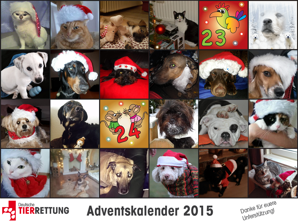 DTR Adventskalender: Tür 22