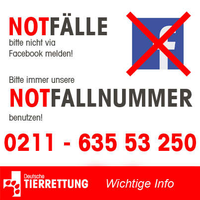 Wichtige Info zur Notfallmeldung