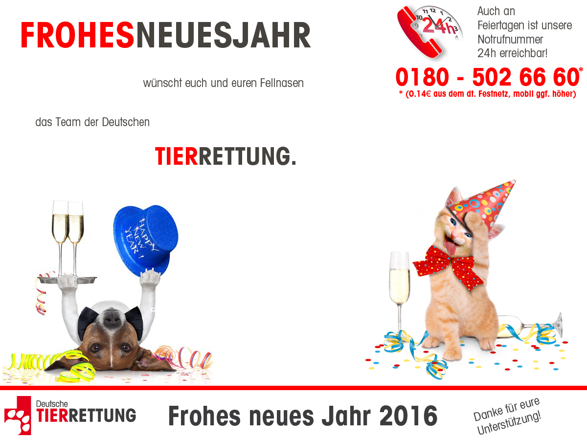 Frohes neues Jahr