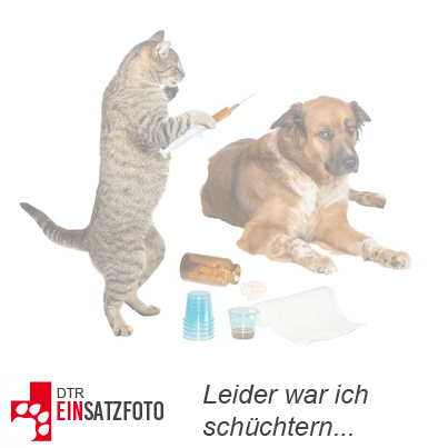 DTR Einsatz: Gismo in Krefeld