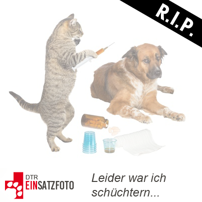 DTR Einsatz: Würfel in Mühlheim