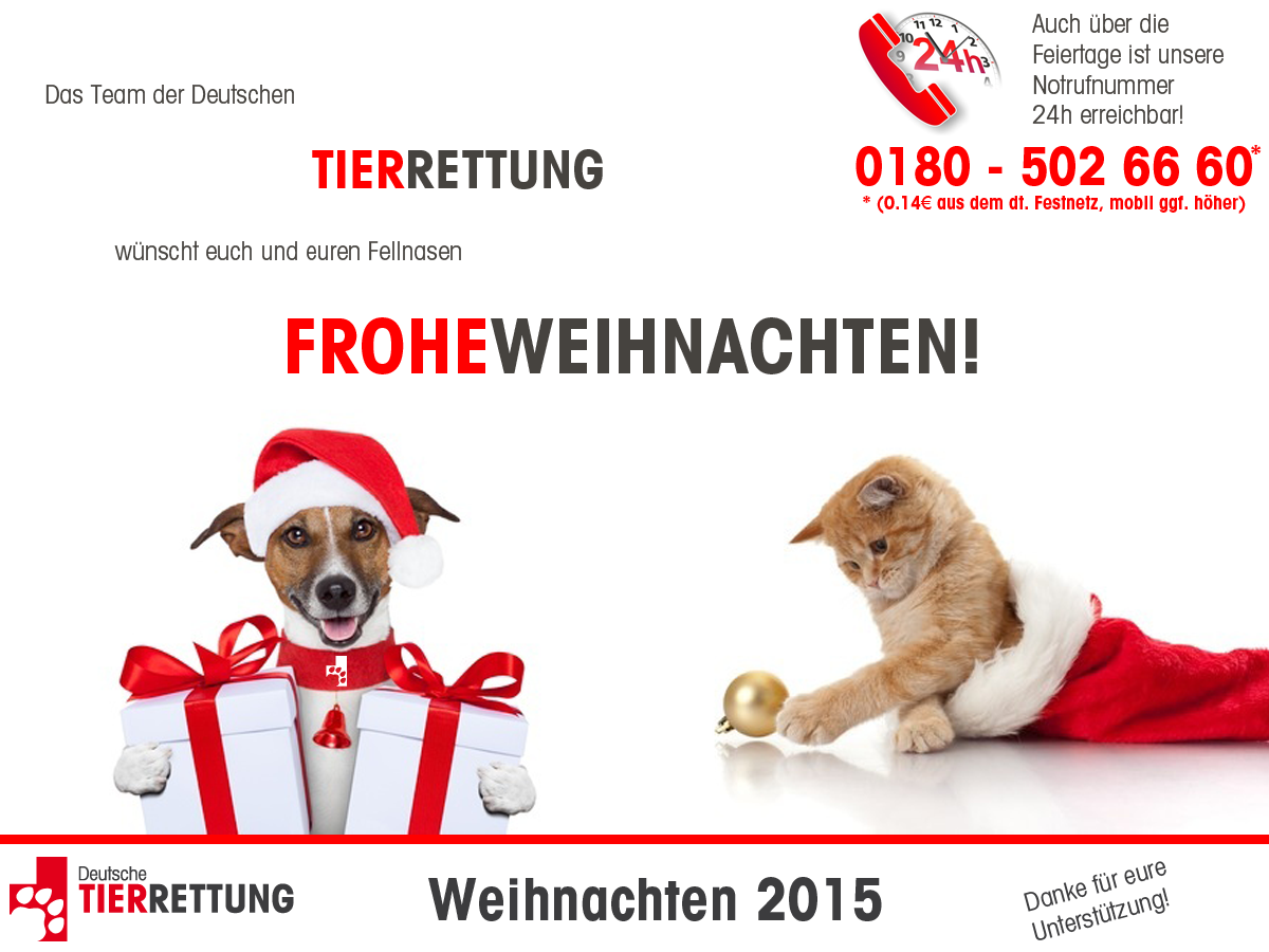 Frohe Weihnachten