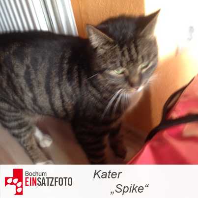 DTR Einsatz: Spike in Bochum