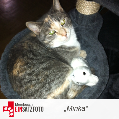 DTR Einsatz: Minka in Meerbusch