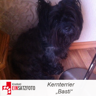 DTR Einsatz: Basti in Krefeld