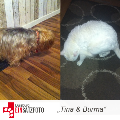 DTR Einsatz: Tina & Burma in Duisburg