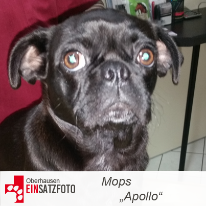 DTR Einsatz: Apollo in Oberhausen