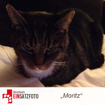 DTR Einsatz: Moritz in Bochum