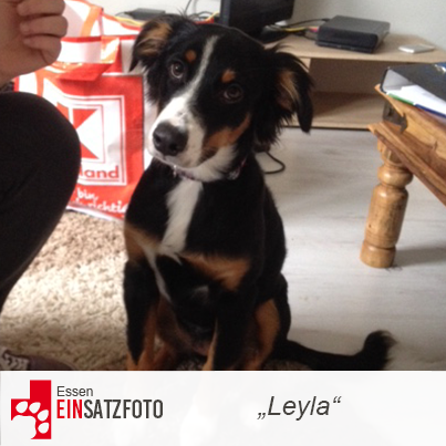 DTR Einsatz: Leyla in Essen