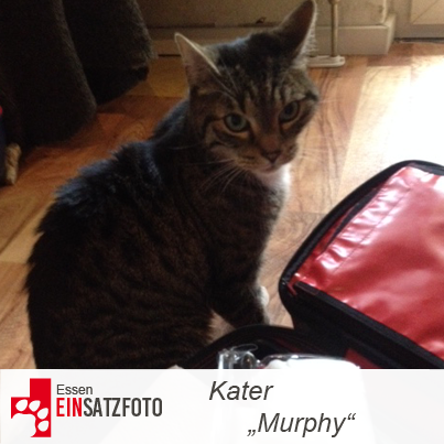 DTR Einsatz: Murphy in Essen