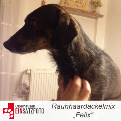 DTR Einsatz: Felix in Oberhausen