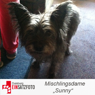 DTR Einsatz: Sunny in Duisburg