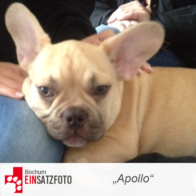 DTR Einsatz: Apollo in Bochum