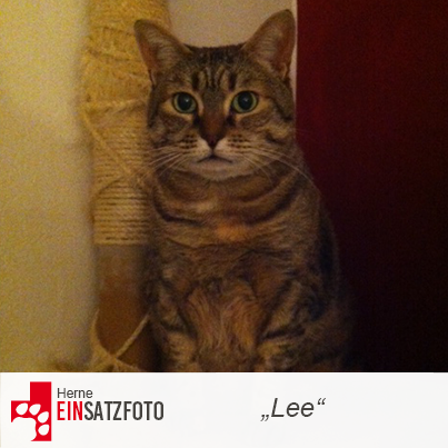 DTR Einsatz: Lee in Herne
