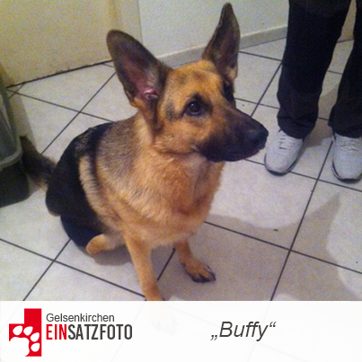 DTR Einsatz: Buffy in Gelsenkirchen