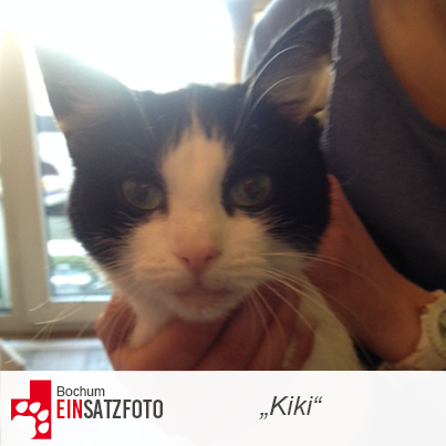 DTR Einsatz: Kiki in Bochum