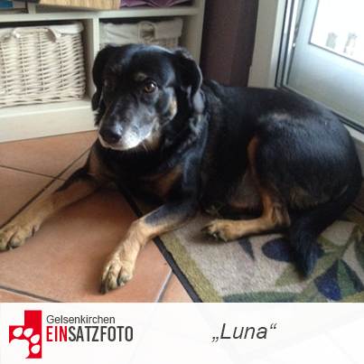 DTR Einsatz: Luna in Gelsenkirchen