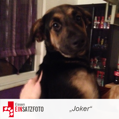 DTR Einsatz: Joker in Essen