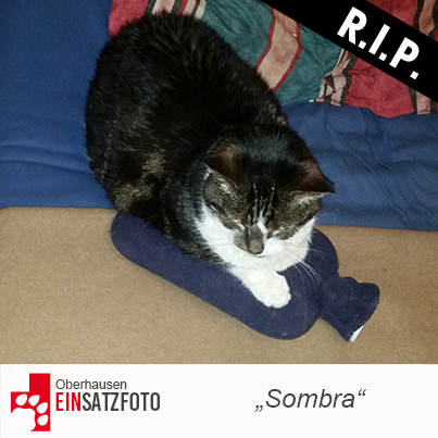 DTR Einsatz: Sombra in Oberhausen