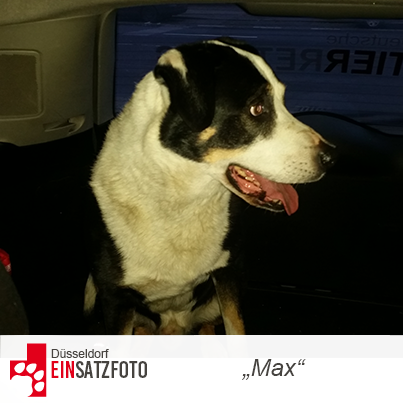 DTR Einsatz: Max in Düsseldorf
