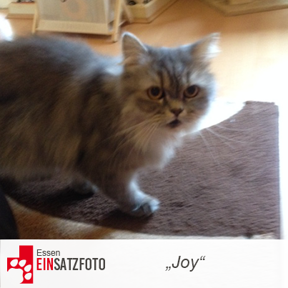 DTR Einsatz: Joy in Essen